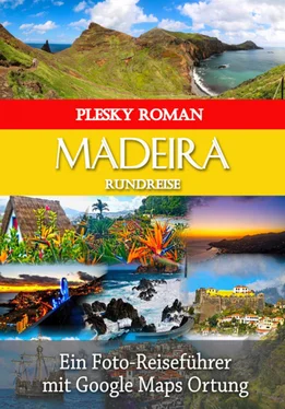 Roman Plesky Madeira Rundreise обложка книги