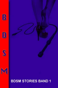 Kerstin Vollath BDSM Geschichten Band 1 - deutsch - 298 Seiten обложка книги