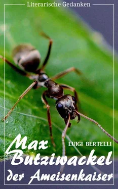 Luigi Bertelli Max Butziwackel, der Ameisenkaiser (Luigi Bertelli) (Literarische Gedanken Edition) обложка книги