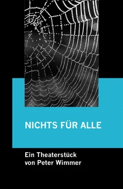 Peter Wimmer NICHTS FÜR ALLE обложка книги