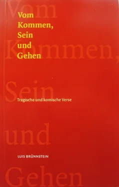 Luis Brünnstein Vom Kommen, Sein und Gehen обложка книги