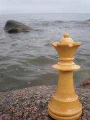 Christiane Baumann - Die Gambitspielerin