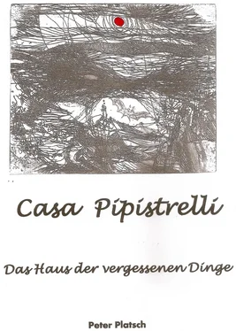 Peter Platsch Casa Pipistrelli Das Haus der vergessenen Dinge обложка книги