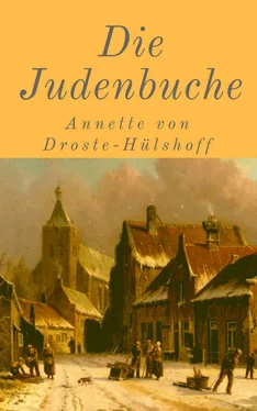 Annette von Die Judenbuche обложка книги