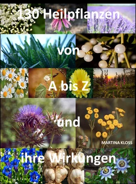 Martina Kloss Was sind Heilpflanzen und ihre Wirkungen? обложка книги