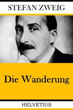 Stefan Zweig Die Wanderung обложка книги