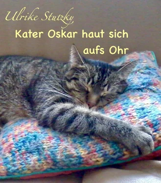 Ulrike Stutzky Kater Oskar haut sich aufs Ohr обложка книги
