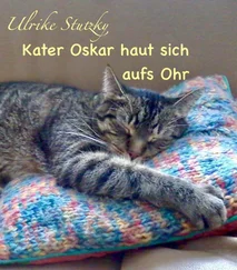 Ulrike Stutzky - Kater Oskar haut sich aufs Ohr