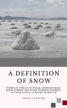 Annina Lux A Definition of Snow обложка книги