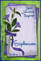 Брюс Роджерс - Барвинок