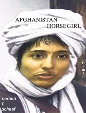 Norbert F. Schaaf Afghanistan Horsegirl обложка книги