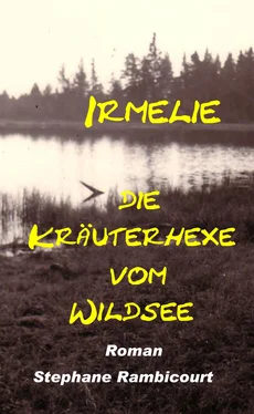 Stephane Rambicourt Irmelie, die Kräuterhexe vom Wildsee обложка книги