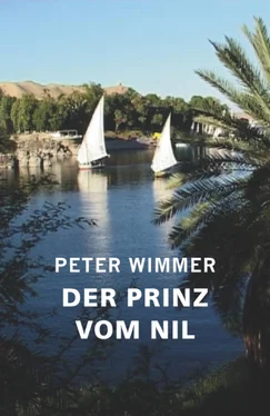 Peter Wimmer Der Prinz vom Nil обложка книги