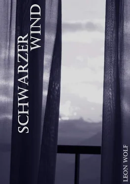 Leon L.. Wolf Schwarzer Wind обложка книги