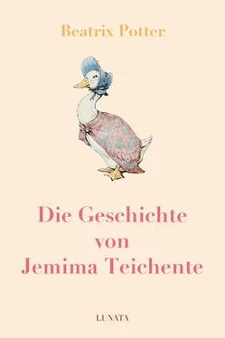 Beatrix Potter Die Geschichte von Jemima Teichente обложка книги