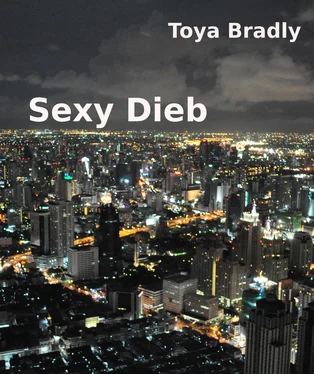 Toya Bradly Sexy Dieb обложка книги