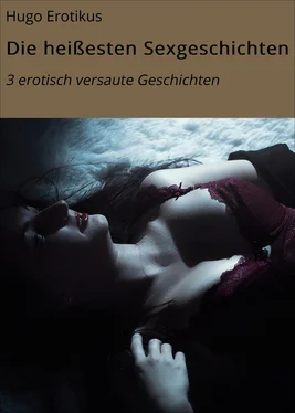 Hugo Erotikus Die heißesten Sexgeschichten обложка книги