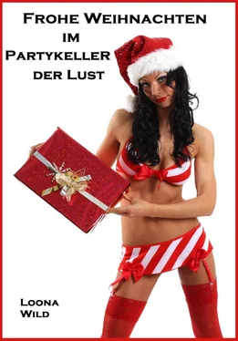 Loona Wild Frohe Weihnachten im Partykeller der Lust обложка книги