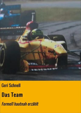 Geri Schnell Das Team обложка книги