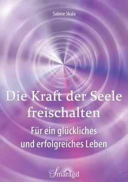Sabine Skala Die Kraft der Seele freischalten обложка книги