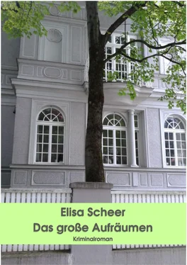 Elisa Scheer Das große Aufräumen обложка книги