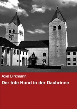 Axel Birkmann Der tote Hund in der Dachrinne обложка книги