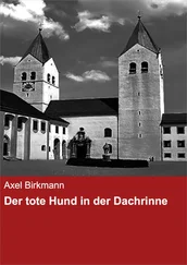 Axel Birkmann - Der tote Hund in der Dachrinne