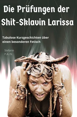 Stefanie P.A.I.N Die Prüfungen der Shit-Sklavin Larissa обложка книги