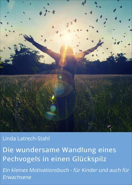 Linda Latrech-Stahl Die wundersame Wandlung eines Pechvogels in einen Glückspilz обложка книги