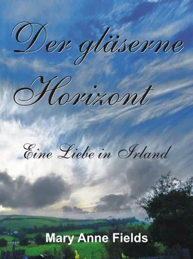 Mary Anne Fields Der gläserne Horizont обложка книги