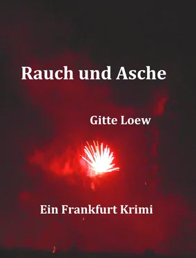 Gitte Loew Rauch und Asche обложка книги
