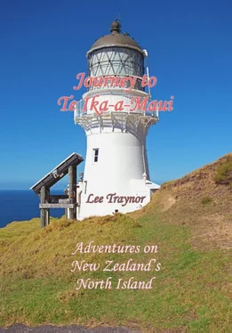 Lee Traynor Journey to Te Ika-a-Maui обложка книги