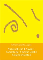 Array Esther Kiara De Angelo - Natursekt und Kaviar - Sammlung - 5 braun-gelbe Sexgeschichten