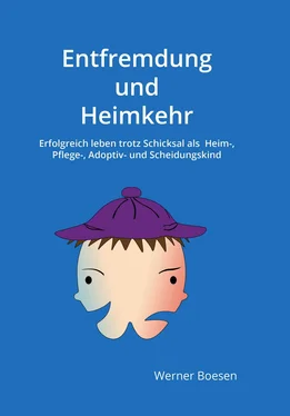 Werner Boesen Entfremdung und Heimkehr обложка книги