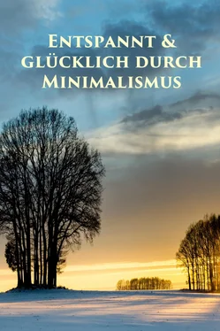 Marlen Holmberg Entspannt & glücklich durch Minimalismus обложка книги