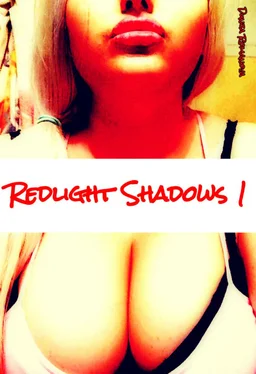 Dunja Romanova Redlight shadows 1 обложка книги
