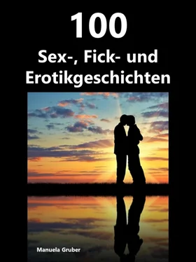 Manuela Gruber 100 Sex-, Fick- und Erotikgeschichten обложка книги