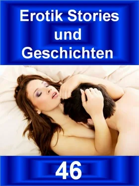 Ines Hoeneß Erotik Stories und Geschichten 46 обложка книги