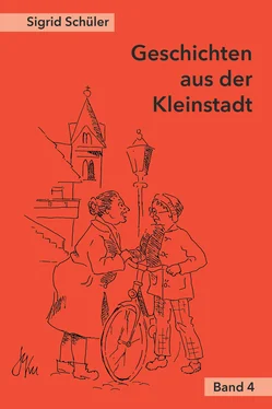 Sigrid Schüler Geschichten aus der Kleinstadt, Band 4 обложка книги
