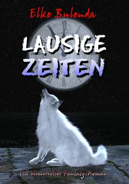 Elke Bulenda Lausige Zeiten обложка книги