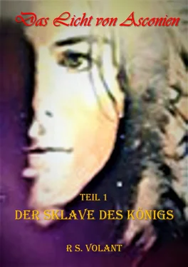 R.S. Volant Der Sklave des Königs обложка книги