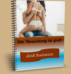 Heidi Bachmeier - Die Versuchung ist groß