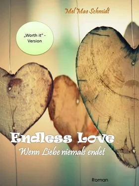 Mel Mae Schmidt Endless Love обложка книги