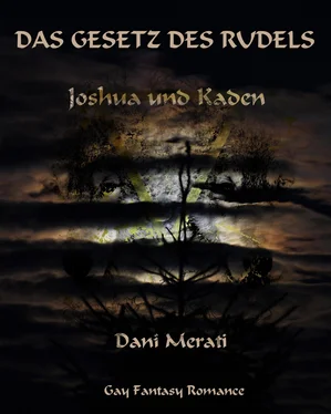 Dani Merati Das Gesetz des Rudels обложка книги