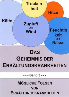 Günther M. Kolleritsch Das Geheimnis der Erkältungskrankheiten 3 обложка книги