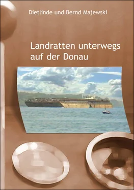 Bernd Majewski Landratten unterwegs auf der Donau обложка книги