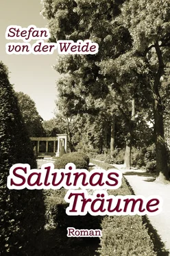 Stefan von der Weide Salvinas Träume обложка книги