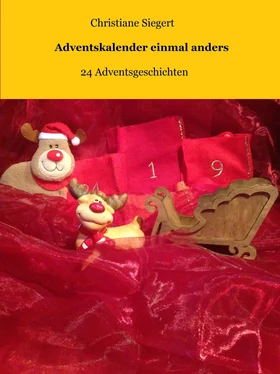 Christiane Siegert Adventskalender einmal anders обложка книги