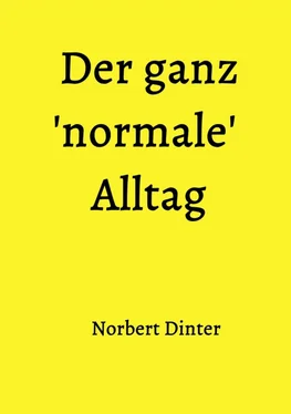 Norbert Dinter Der ganz 'normale' Alltag обложка книги