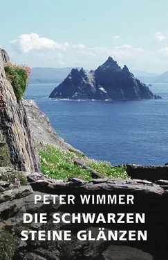 Peter Wimmer DIE SCHWARZEN STEINE GLÄNZEN обложка книги